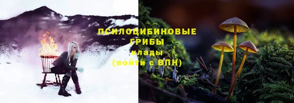 прущие крисы Заводоуковск
