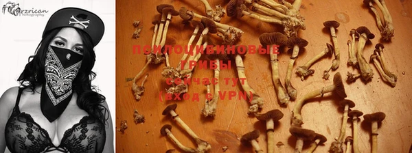 прущие крисы Заводоуковск