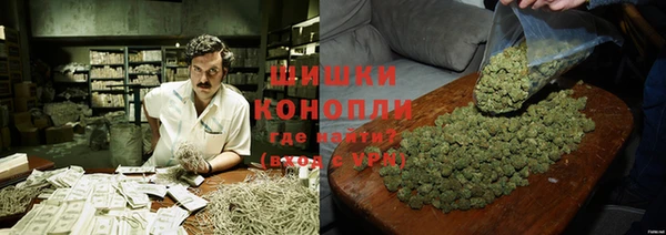 прущие крисы Заводоуковск